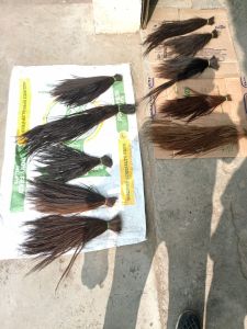 Horse Hair