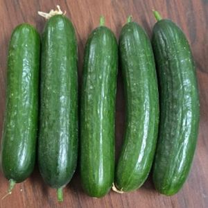 Fresh English Cucumber