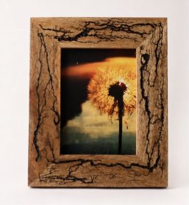 Rustic Spalted Wood Photo Frame