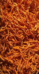 100gm Aeroherbs Cordyceps Militaris Dried Mushroom