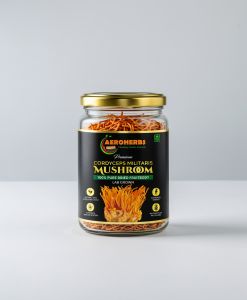 100gm Aeroherbs Cordyceps Militaris Dried Mushroom