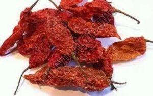 Bhut Jolokia Dried Red Chilli
