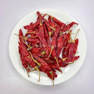 Guntur Dry Red Chilli
