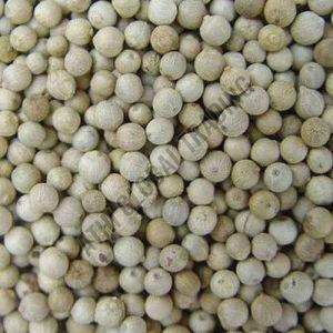 White Pepper Seeds