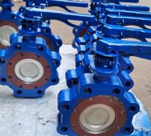 Butterfly Valve