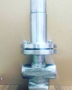 Stainless Steel Cryogenic Globe Valves