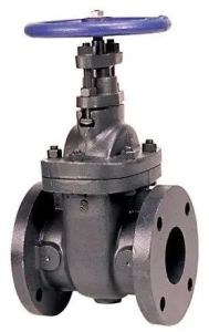 Stainless Steel Flanged Gate Valve