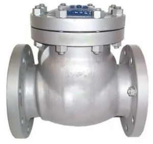 Stainless Steel LPG Non Return Valve