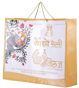 Rectangular Printed Carry Paper Bag
