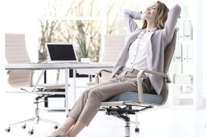 Bio Magnetic Chair Pad