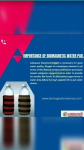 Bio Magnetic Water Bottle Pad