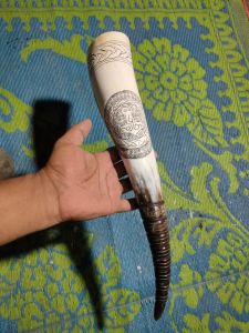 Drinking Viking Horn