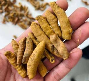 Pragati Turmeric Finger