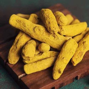 Sudarshana Turmeric Finger