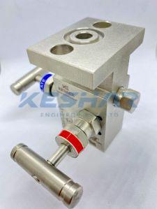 2 Way T Type Manifold Valve