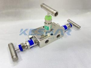 3 Way DP Gauge Manifold
