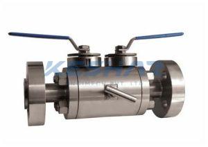Double Block Bleed Valve (Dbb Valve)