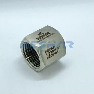Instrumentation Pipe Female Cap