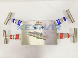 5 Way Angle Manifold Valve