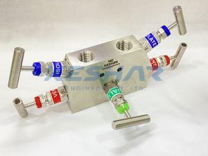 5 Way Angle Manifold Valve