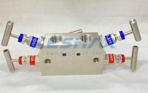 5 Way Angle Manifold Valve