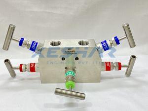 5 Way Angle Manifold Valve