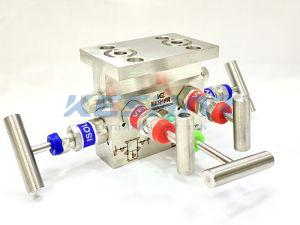 5 Way T Type Manifold Valve