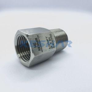 Instrumentation Pipe Adapter