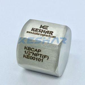 Instrumentation Pipe Female Cap
