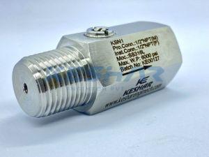 Pressure Gauge Snubber