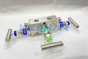 3 Way DP Gauge Manifold