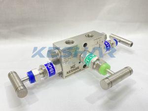 3 Way DP Gauge Manifold