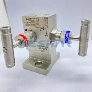 2 Way T Type Manifold Valve