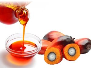 Rbd Palm Kernel Oil