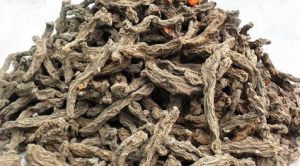 Premium Mother Turmeric