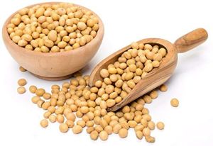 Premium Soybean Seeds