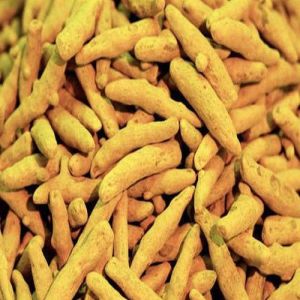 Salem Turmeric Finger