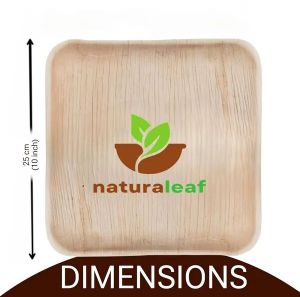 10 Inch Square Areca Leaf Plates
