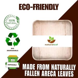 5 Inch Square Areca Leaf Plates