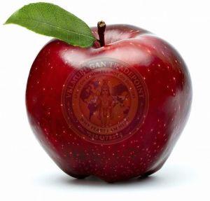 A Grade Fresh Apple