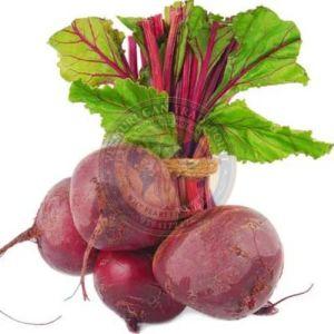 A Grade Fresh Beetroot