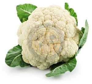 A Grade Fresh Cauliflower