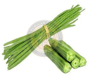 A Grade Fresh Drumstick
