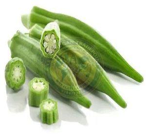 A Grade Fresh Okra