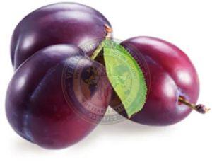 A Grade Fresh Plum