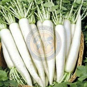A Grade Fresh Radish