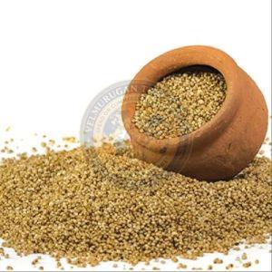 Barnyard Millet Seeds