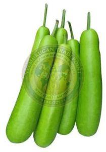 Fresh Bottle Gourd