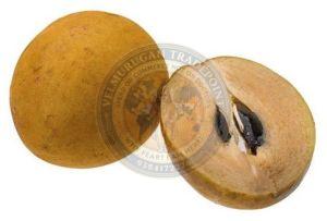 Fresh Chikoo
