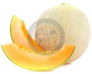 Fresh Muskmelon